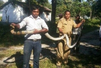 সিনেমাকেও হার মানাবে, জীবন বাজি রেখে শিক্ষার্থীদের বাঁচালেন এই শিক্ষক!