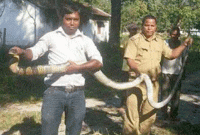 নিজের জীবন তুচ্ছ করে শিক্ষার্থীদের বাঁচাতে ঝাঁপিয়ে পড়লেন শিক্ষক