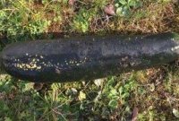 বাড়ির উঠোনে 'বিশ্বযুদ্ধের বোমা'! পুলিশের পরীক্ষায় ভুল ভাঙে!