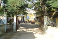 ছাত্রলীগ নেতার হাতে লাঞ্ছিত কলেজছাত্রী জয়ী মণ্ডলের আত্মহত্যা