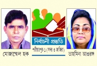 আওয়ামী লীগের একাধিক প্রার্থী, প্রকাশ্যে প্রচার নেই বিএনপির