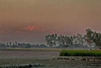  ঠাকুরগাঁও থেকে দেখা যাচ্ছে বিশ্বের তৃতীয় সর্বোচ্চ পর্বতশৃঙ্গ  হিমালয়ের 'কাঞ্চনজঙ্ঘা'