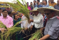 পলাশে জাঁকজমকভাবে বাঙালীর ঐতিহ্যবাহী সংস্কৃতি নবান্ন উৎসব