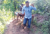 রোগীকে দুর্গম পথে কাঁধে বয়ে নিয়ে গেলেন চিকিৎসক রোগীকে দুর্গম পথে কাঁধে বয়ে নিয়ে গেলেন চিকিৎসক