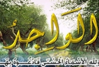 এ আমলটি করলে আল্লাহ তাআলা ধন-সম্পদ বৃদ্ধি করেন