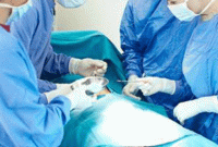 হঠাৎ পেটে ব্যথা নিয়ে আসেন ডাক্তারের কাছে, পেট কাটতেই যা বের হল, দেখে অবাক চিকিত্সকরা