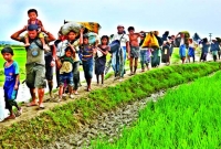 জানুয়ারি থেকে রোহিঙ্গা ফিরিয়ে নেয়ার কাজ শুরু করবে মিয়ানমার জানুয়ারি থেকে রোহিঙ্গা ফিরিয়ে নেয়ার কাজ শুরু করবে মিয়ানমার