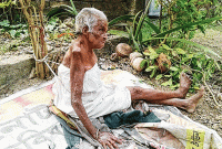 গাছের সঙ্গে দড়ি দিয়ে বাঁধা ৯০ বছরের বৃদ্ধা, অভিযুক্ত ছেলে-বৌমা  গাছের সঙ্গে দড়ি দিয়ে বাঁধা ৯০ বছরের বৃদ্ধা, অভিযুক্ত ছেলে-বৌমা