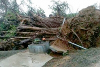 ভারতে ঘূর্ণিঝড়ে নিহত ৮, নিখোঁজ ৯০