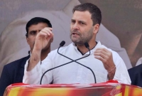 দাদি ইন্দিরা গান্ধীর ঘাতকদের সঙ্গে খেলা করতেন রাহুল গান্ধী!