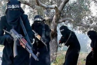 ইরাকে আইএসের উত্থান-পতন, কিছু তথ্য