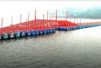 গ্রামের যুবকদের অর্থায়নে প্লাস্টিকের ড্রাম দিয়ে যশোরে নির্মিত হল ভাসমান সেতু