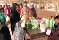 মাইকিং, এক লিটার দুধের বিনিময়ে ৬০ কেজি আলু!