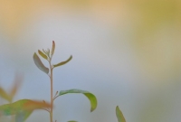  এলোমেলো স্মৃতিগুলো