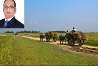 সুন্দর হে গ্রাম বাংলা