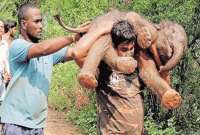  বাহুবলীর সব রেকর্ড ফুতকারে উড়িয়ে দিলেন ইনি!