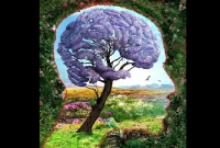 অতি সাধারণ এই ছবিটি বলে দেবে আপনার ব্যক্তিত্বের গোপন কথা!