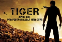 ‘‌টাইগার জিন্দা হ্যায়’‌ সম্পর্কে  ৫টি অজানা তথ্য