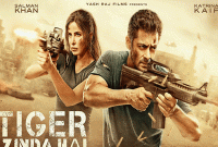 মুক্তির পর এ পর্যন্ত কত আয় করল ‘টাইগার জিন্দা হ্যায়’?