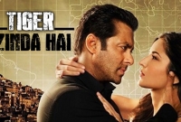 নিজের রেকর্ড নিজেই ভাঙলেন সালমান