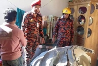 সিনেমার কাহিনীকেও হার মানায়ঃ দুই ভাই যেভাবে বাঁচালেন বঙ্গোপসাগের ঝাপিয়ে পড়া পাইলটদের