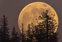 নতুন বছরের প্রথম রাতেই বিরল এক ঘটনার সাক্ষী থাকবেন পৃথিবীবাসী