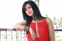 নতুন জীবন শুরু করার কথা বললেন অপু বিশ্বাস