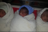  টাঙ্গাইলের মির্জাপুরে একসাথে চার সন্তান প্রসব