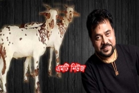 ক্রিকেট ম্যাচে চ্যাম্পিয়ন দলকে ১টি বড় ছাগল, রানার্সআপকে ১টি ছোট ছাগল পুরস্কার দেন এন্ড্রু কিশোর