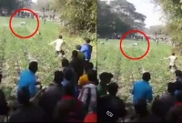 ঝোপের ভিতর উঁকি দিতেই ঘাড়ের ওপর..., তারপরের ঘটনা হাড় হিম করার মতো