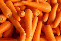 জানেন, রোজ গাজর খেলে কি হয়?