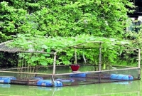 ধান-মাছ-সবজির সমন্বিত চাষে ফেরিওয়ালা থেকে কোটিপতি!