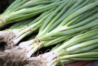 পেঁয়াজকলির গুণে বদলে যেতে পারে আপনার জীবন