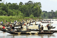 হালদায় বিপদের মুখে ডলফিন