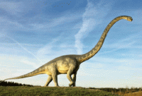 মাটি খুঁড়তেই বেরিয়ে এল ডাইনোসরের ডিম মাটি খুঁড়তেই বেরিয়ে এল ডাইনোসরের ডিম