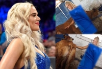 স্বল্পবসনা হয়ে গরুর সঙ্গে এ কী করলেন সুন্দরী মডেল!