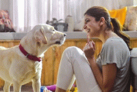 বিরাটের কুকুরের সঙ্গে কী করলেন আনুষ্কা ?