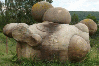 হাঁটাচলা করা এক অদ্ভুত পাথর, জীবন্ত পাথরের কোনো ব্যাখ্যা মেলেনি এখনও