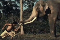 'জংলি'র টিজার : জামাওয়ালের হাতি বন্ধুর নাম 'ভোলা'