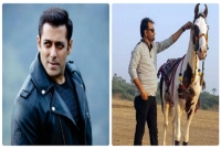 ঘোড়ার দাম বললেন দুই কোটি, সালমানকে 'না' বলে দিলেন মালিক