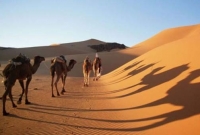 এই ৮টি তথ্য অবিশ্বাস্য হলেও সত্যি!