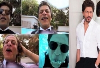 আনন্দে পানিতে ঝাঁপ দিলেন শাহরুখ খান!