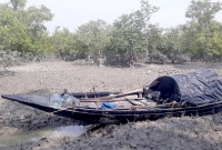 পিছন থেকে ধেয়ে এল মৃত্যু! সুন্দরবনের জঙ্গলে ফিরল ভয়াবহতা