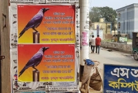 এবার টাঙ্গাইলে ‘কাউয়া মুক্ত আওয়ামী লীগ চাই’