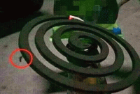 কয়েলের ওপরেই যদি মশা বসে, তাহলে আর বিশ্বাস কোথায় রাখবেন?