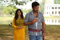 সাড়ে চার কোটিতে ‘ভাইজান’!