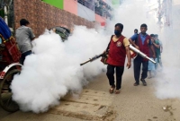 ব্রেকিং : এই হটলাইনে ফোন করলেই মশা নিধন