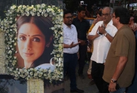 স্ত্রীর ইচ্ছানুযায়ী শ্রীদেবীর চিতাভস্ম নিয়ে যেখানে গেলেন বনি কাপুর!