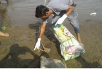 পাকিয়ে উঠল গা, মেরুদণ্ড দিয়ে বইল ঠান্ডা বাতাস.. কী ছিল বস্তায়?