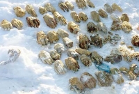 চীন সীমান্তের কাছে বস্তা ভর্তি 'কাটা হাত' উদ্ধার